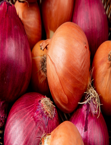 Onion