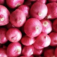 Red Onion